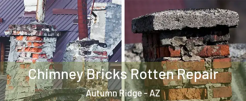 Chimney Bricks Rotten Repair Autumn Ridge - AZ
