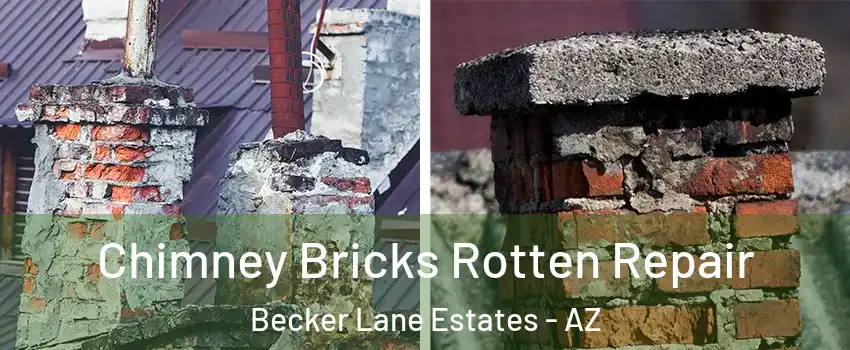 Chimney Bricks Rotten Repair Becker Lane Estates - AZ