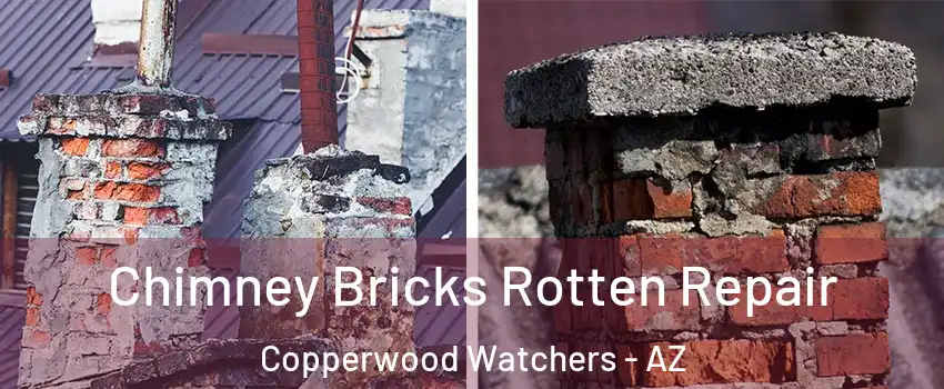 Chimney Bricks Rotten Repair Copperwood Watchers - AZ