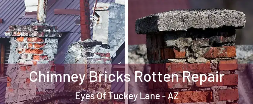 Chimney Bricks Rotten Repair Eyes Of Tuckey Lane - AZ