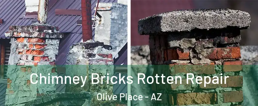 Chimney Bricks Rotten Repair Olive Place - AZ