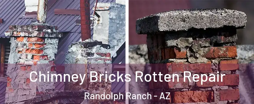Chimney Bricks Rotten Repair Randolph Ranch - AZ