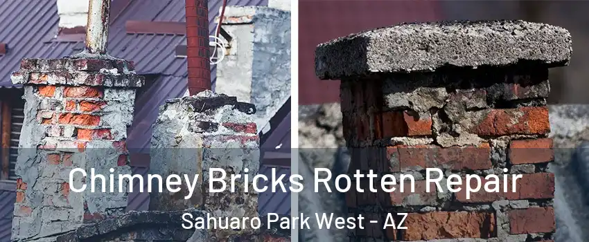 Chimney Bricks Rotten Repair Sahuaro Park West - AZ