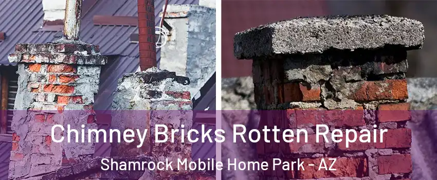 Chimney Bricks Rotten Repair Shamrock Mobile Home Park - AZ
