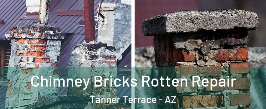 Chimney Bricks Rotten Repair Tanner Terrace - AZ