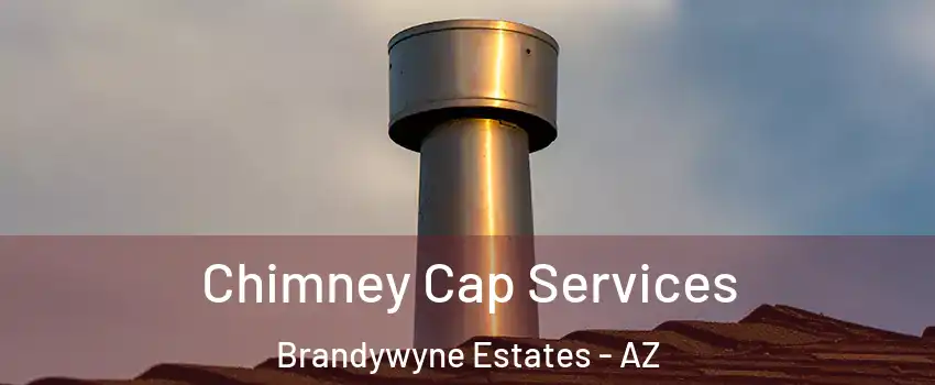 Chimney Cap Services Brandywyne Estates - AZ