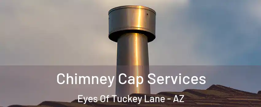 Chimney Cap Services Eyes Of Tuckey Lane - AZ