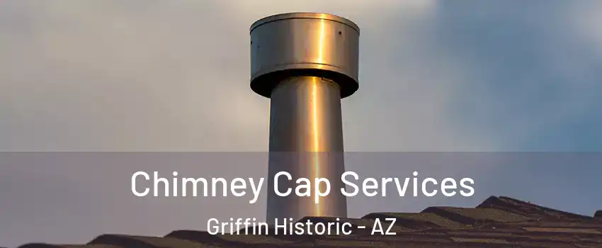 Chimney Cap Services Griffin Historic - AZ