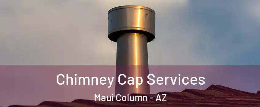 Chimney Cap Services Maui Column - AZ