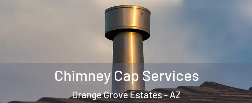 Chimney Cap Services Orange Grove Estates - AZ