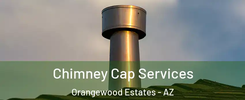 Chimney Cap Services Orangewood Estates - AZ