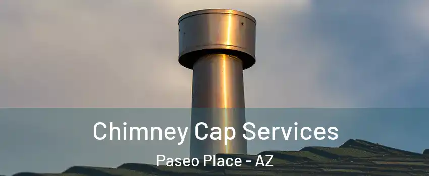 Chimney Cap Services Paseo Place - AZ