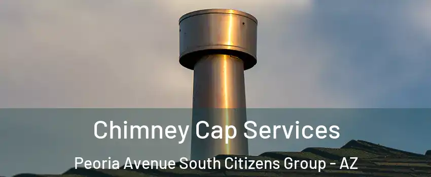 Chimney Cap Services Peoria Avenue South Citizens Group - AZ