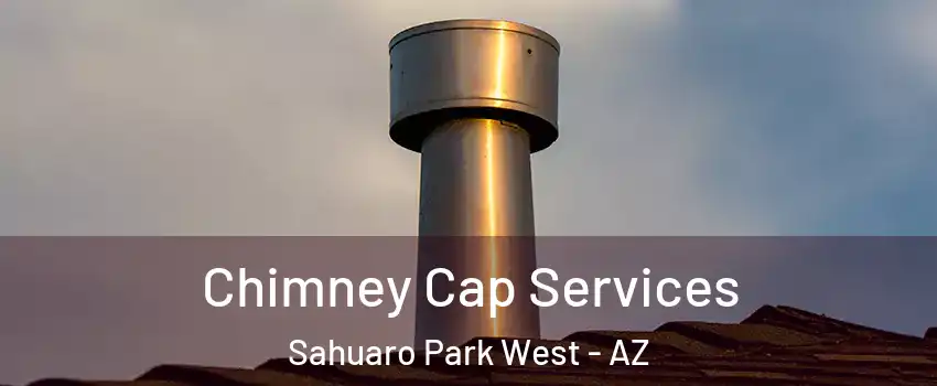 Chimney Cap Services Sahuaro Park West - AZ