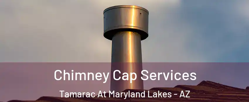 Chimney Cap Services Tamarac At Maryland Lakes - AZ