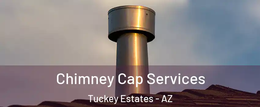 Chimney Cap Services Tuckey Estates - AZ