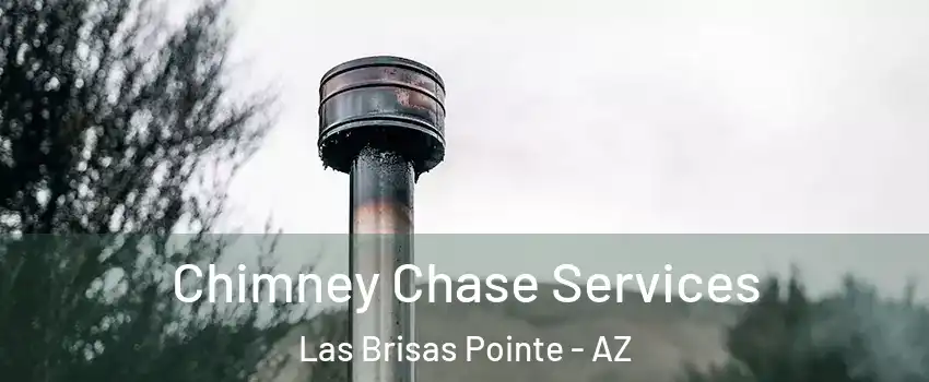 Chimney Chase Services Las Brisas Pointe - AZ