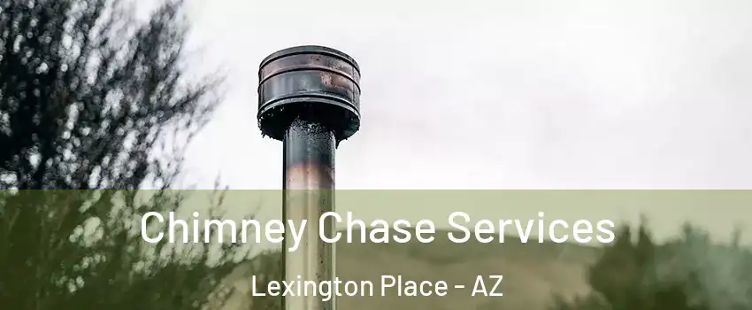 Chimney Chase Services Lexington Place - AZ