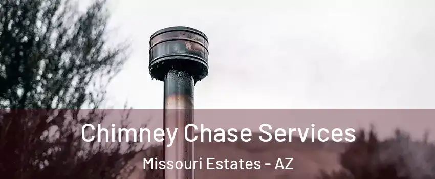 Chimney Chase Services Missouri Estates - AZ