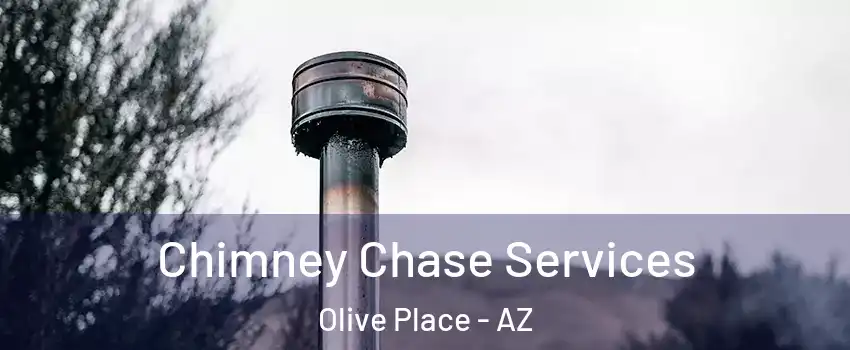 Chimney Chase Services Olive Place - AZ