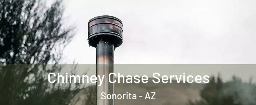Chimney Chase Services Sonorita - AZ