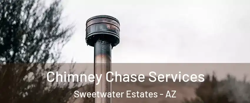 Chimney Chase Services Sweetwater Estates - AZ