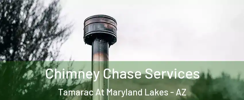 Chimney Chase Services Tamarac At Maryland Lakes - AZ