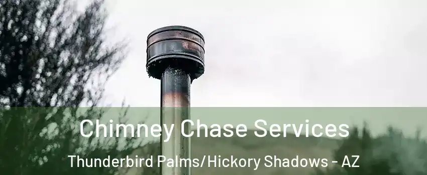 Chimney Chase Services Thunderbird Palms/Hickory Shadows - AZ