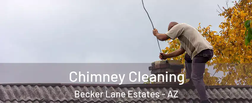 Chimney Cleaning Becker Lane Estates - AZ