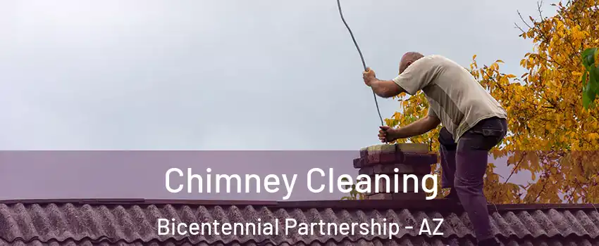 Chimney Cleaning Bicentennial Partnership - AZ