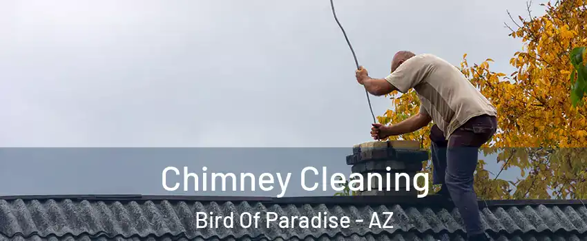 Chimney Cleaning Bird Of Paradise - AZ