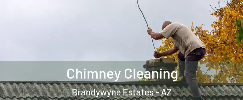 Chimney Cleaning Brandywyne Estates - AZ