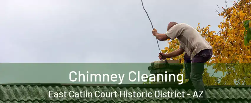Chimney Cleaning East Catlin Court Historic District - AZ