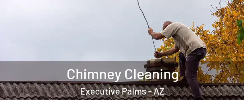 Chimney Cleaning Executive Palms - AZ