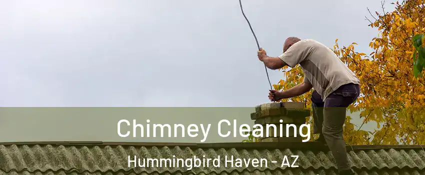 Chimney Cleaning Hummingbird Haven - AZ
