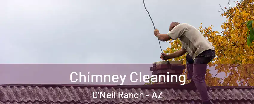 Chimney Cleaning O'Neil Ranch - AZ