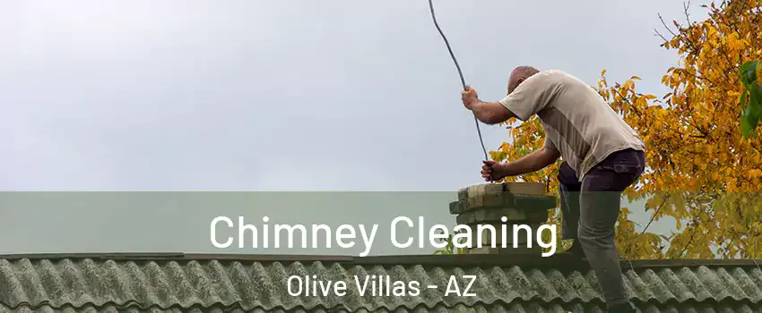 Chimney Cleaning Olive Villas - AZ