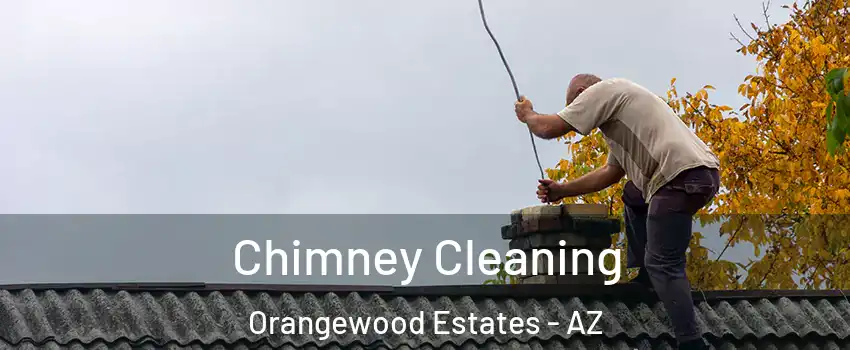 Chimney Cleaning Orangewood Estates - AZ