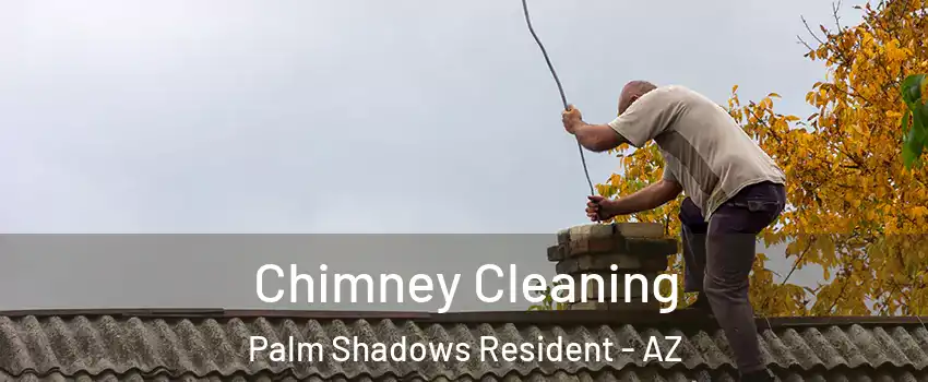 Chimney Cleaning Palm Shadows Resident - AZ