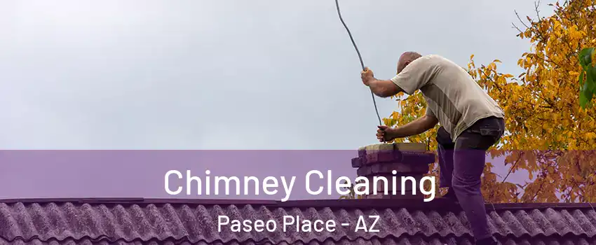 Chimney Cleaning Paseo Place - AZ