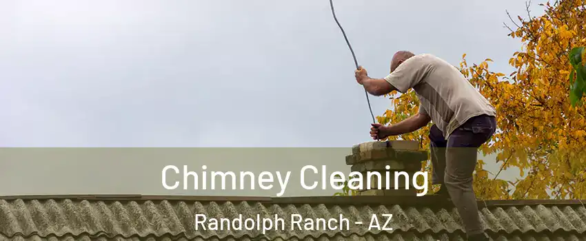 Chimney Cleaning Randolph Ranch - AZ