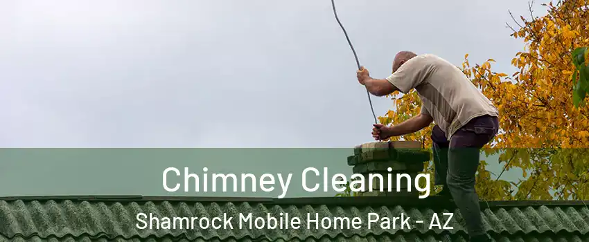 Chimney Cleaning Shamrock Mobile Home Park - AZ