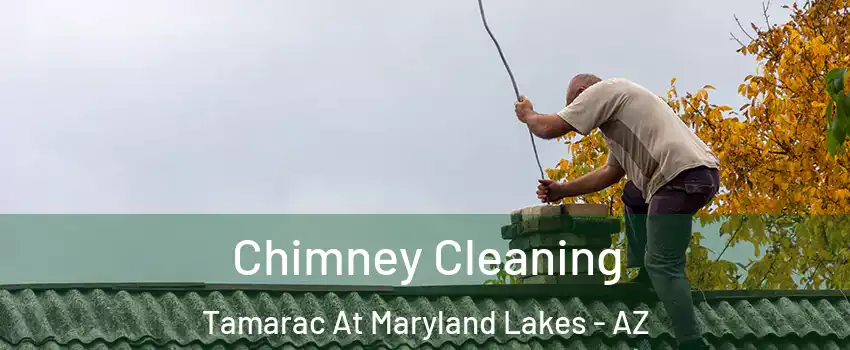Chimney Cleaning Tamarac At Maryland Lakes - AZ
