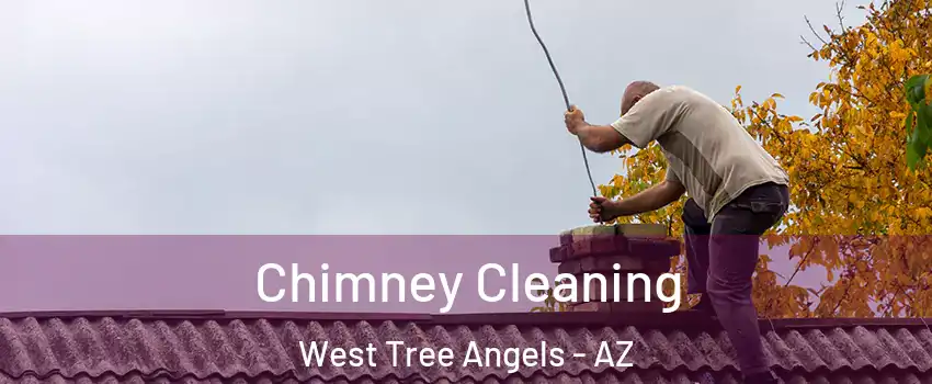 Chimney Cleaning West Tree Angels - AZ