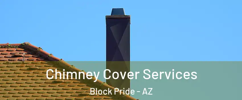 Chimney Cover Services Block Pride - AZ