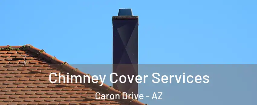 Chimney Cover Services Caron Drive - AZ
