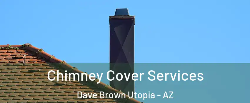 Chimney Cover Services Dave Brown Utopia - AZ
