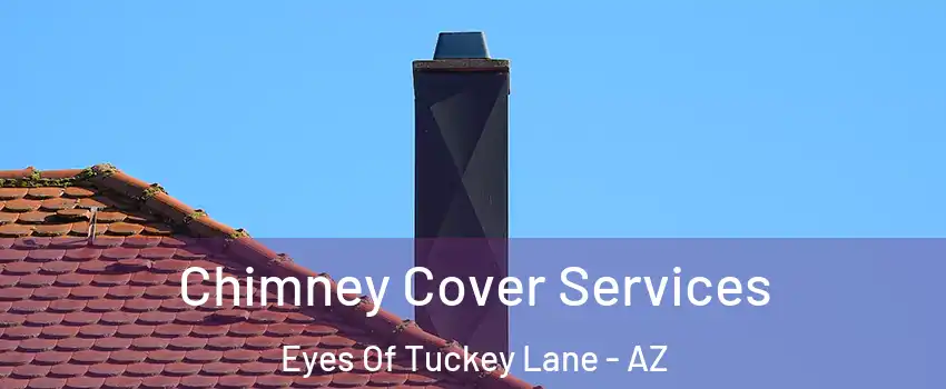 Chimney Cover Services Eyes Of Tuckey Lane - AZ