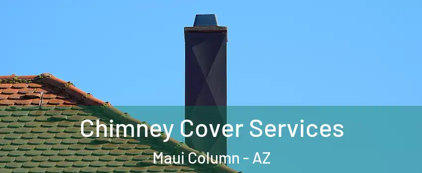 Chimney Cover Services Maui Column - AZ