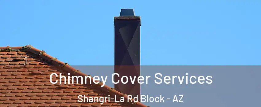 Chimney Cover Services Shangri-La Rd Block - AZ